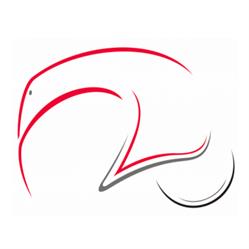 Custom Technologies Ltd