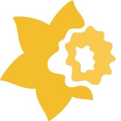 Cancer Society Of New Zealand
