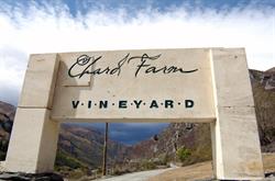 Chard Farm Vineyard
