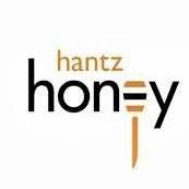 Hantz Honey