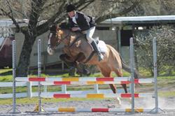Taupo Saddlery Ltd