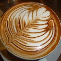 Mayfair Cafe