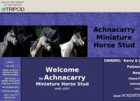 Achnacarry Miniature Horse Stud