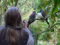 Kerikeri- Wharepuke Subtropical Accommodation