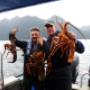 Crayfish in Dusky Sound