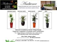 Ambience Pots & Plants