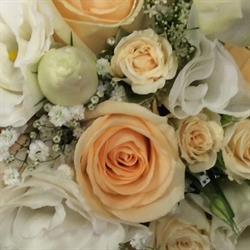 Flower Wholesalers Ltd