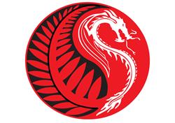 Centre of Balance Chinese Medicine & Acupuncture Clinic Hami
