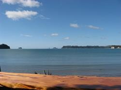 Beachfront Resort