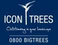 Icon Trees