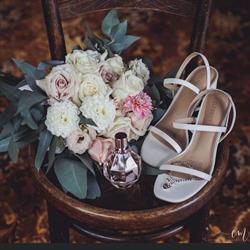 Bloom Room Ltd