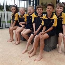 Bluestone School
