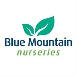 Blue Mountain Nurseries Ltd