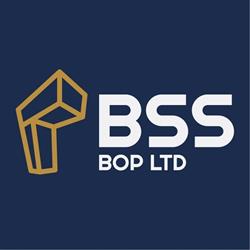 Building Surveying Services Ltd