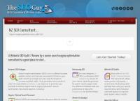 The SEO Guy NZ