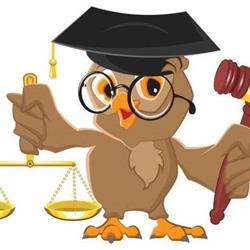 Craig Paddon Lawyer