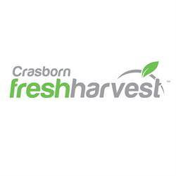 Crasborn Group Ltd