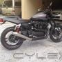Uploaded by visitor on 22/06/2016 - Harley stainless muffler