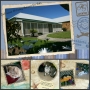 Deloraine Cattery