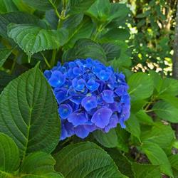 Eden Garden Society Incorperated