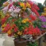 Uploaded by visitor on 14/05/2016