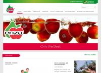 ENZA International