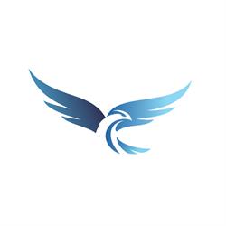 Falcon Electrical Ltd