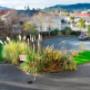 Farrys Motel / Apartments - Motels Dunedin NZ