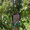 Fantail-cellphone-bag