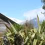 glenfern-flax