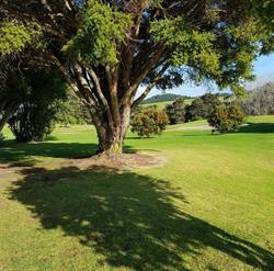 South Head Golf Club Inc
