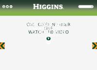 Higgins Group Holdings Ltd