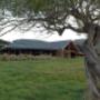Luxury hunting lodge
