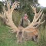 Trophy hunts in NZ