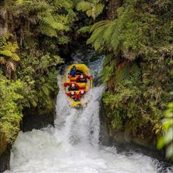 Kaitiaki Adventures