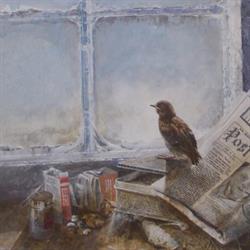 Lewis Paape Gallery