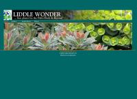 Liddle Wonder Ltd