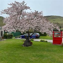 Millers Flat Holiday Park
