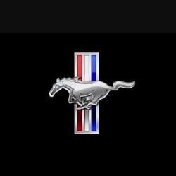 Mustang Centre