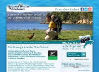 Dolphin Watch Ecotours