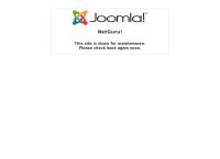 Netguru - Web Design Development, Search Engine Optimisation