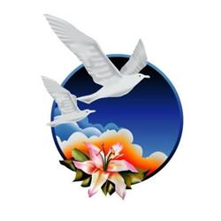 New Image International