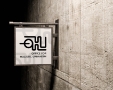 Logos and Branding