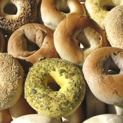 New York Bagels Ltd