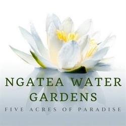 Ngatea Water Gardens
