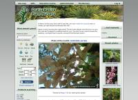 Oratia Native Plant Nursery Ltd