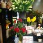 Florists in Dunedin - Orchid Florist