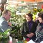 Florists in Dunedin - Orchid Florist