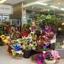 Florists in Dunedin - Orchid Florist