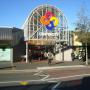 Flowers & Florists in Dunedin - Orchid Florist